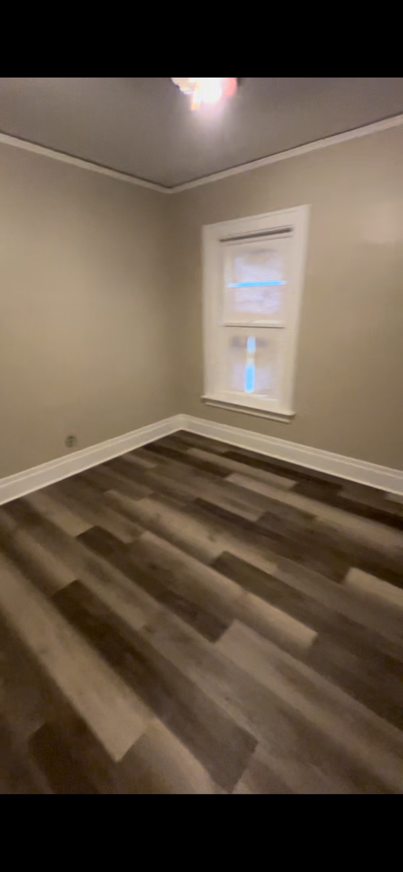 1167 Haeberle Ave - 2